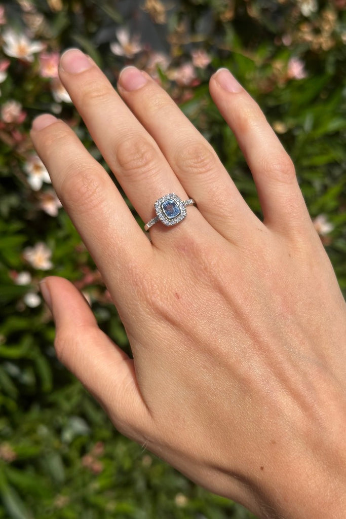 ANILLO HALO CUSHION ZAFIRO